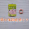 帝王切開傷跡経過